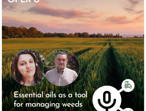 Episode 6 – Essential oils as a tool for managing weeds