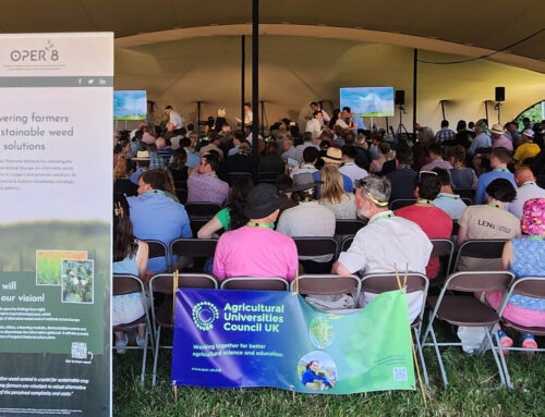 Engaged audience at the Groundswell farming festival in UK