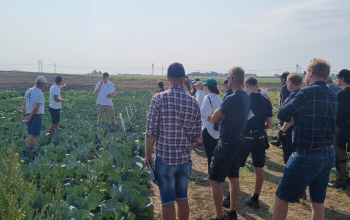 Agricultural field day in Sweden | Oper8