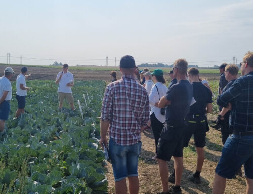 Oper8 at Potato and horticultural field day in Sweden