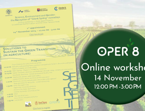 Welcome to join an online workshop – Solutions to sustain the green transition